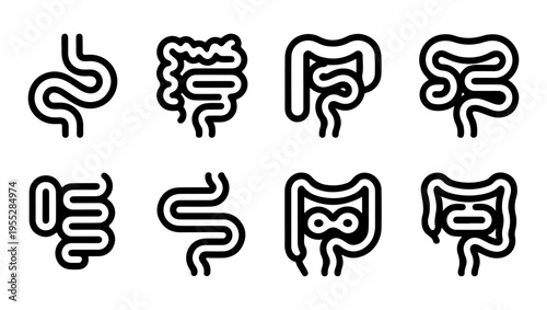 Anatomical illustration of the human elbow joint in extended and flexed positions