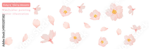 水彩で描いたかわいい桜の花のベクターイラスト素材