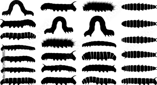 Caterpillar silhouettes collection, worm insect species, crawling larvae, entomology art, vector illustration, nature design, wildlife icon, garden pest, bug pattern, segmented body