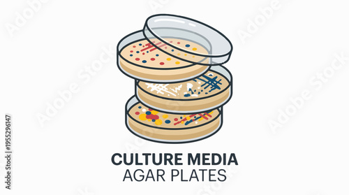 Stack of three petri dishes with agar culture media containing various colonies of microorganisms.