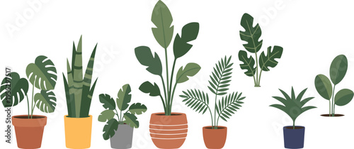 Set of potted houseplants in various pots, perfect for home decor, indoor gardening, and botanical design flat vector illustration