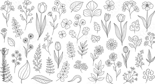Hand drawn flower and leaf collection featuring various botanical sketches and floral elements for spring garden nature greeting card and organic wedding design.