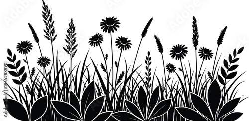 Horizontal black silhouette of wildflower meadow with field grasses, daisies, and botanical weeds for nature borders, summer garden backgrounds, and eco-friendly organic landscape design.