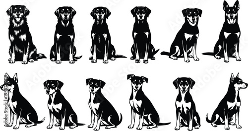 Large collection of black and white dog silhouettes featuring various breeds like golden retriever german shepherd and labrador sitting in front view and side profile vector.