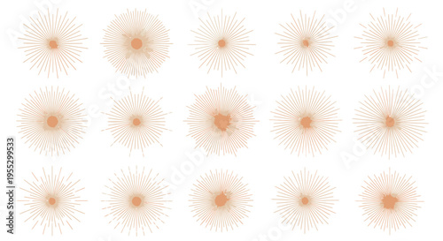 Collection of delicate white daisy flowers with orange centers.