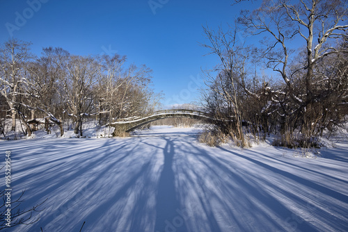 - 静寂の雪原と影の模様
