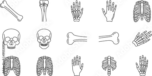 Human skeleton bones outline icons with skull rib cage hand bones arm leg anatomy medical education vector illustration set