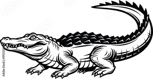 Black and white vector illustration of a powerful crocodile or alligator, featuring detailed scales and sharp teeth in a vintage engraving style for graphic design.