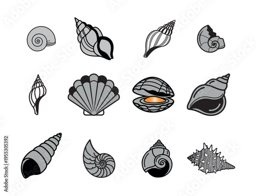 Minimalist seashell collection and ocean mollusk icons