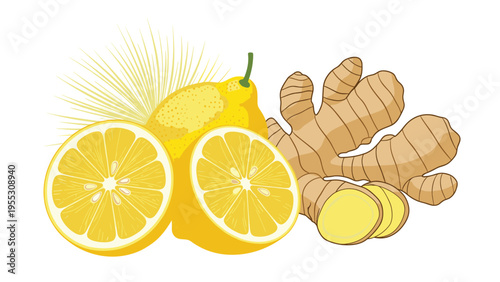 Fresh lemons and ginger root illustration for healthy drinks, organic ingredients for detox tea and boosting immune system.