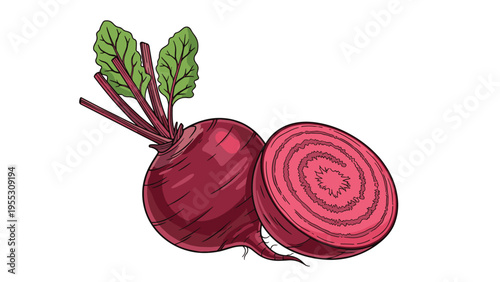 Hand drawn illustration of a whole beet with green leaves and a half sliced beet showing the interior rings on a white background.