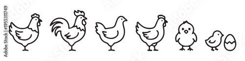 Chicken and Poultry Line Icon Set, Hen, Rooster and Chick Farm Animal Symbols.