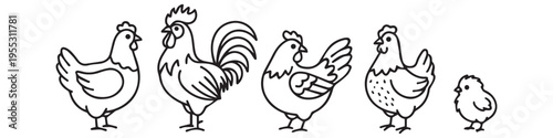 Chicken and Poultry Line Icon Set, Hen, Rooster and Chick Farm Animal Symbols.
