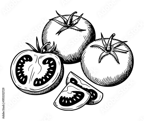 Hand drawn of whole and sliced tomatoes a white background food fresh