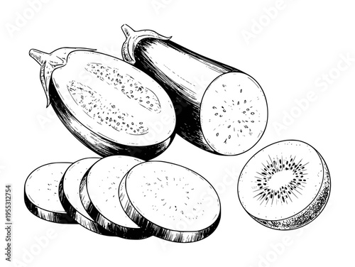 Hand drawn of sliced eggplant and kiwi fruit white background vegetable food