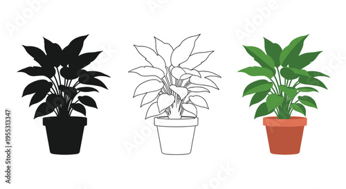 Three potted philodendron plants in varying styles a black silhouette