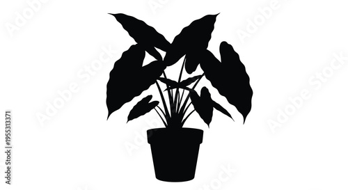 A potted alocasia plant depicted in a striking black silhouette