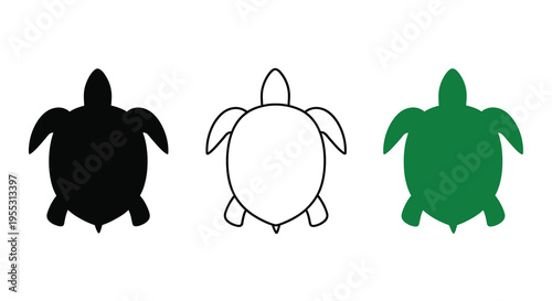 Three turtle depictions showcasing color variations as a visual study silhouette