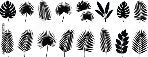 Black and white vector silhouette set of various tropical leaves featuring palm fronds, monstera leaves, and fan palm foliage for exotic summer and botanical designs.