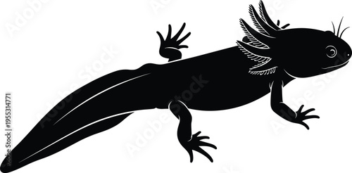 Black and white vector silhouette of an axolotl featuring its distinctive external gills and long tail, perfect for exotic pet, biology, and aquarium-themed designs.