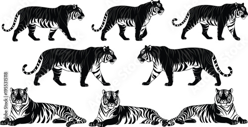Tiger silhouette collection featuring walking and lying poses in black and white cad drawing flat vector illustration style for flavector designs.