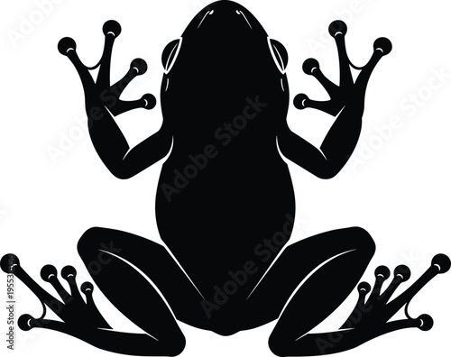 Tree frog silhouette isolated on white background, cad drawing flat vector illustration of an amphibian, tropical wildlife nature design element.