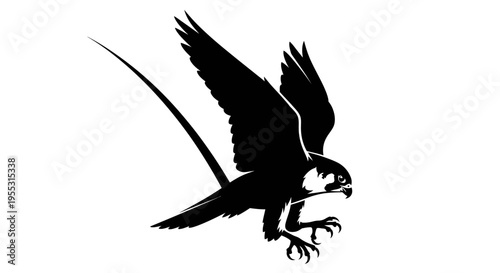 Black silhouette of a bird of prey in flight with spread wings and sharp talons on white background