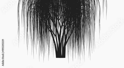 Black silhouette of a weeping willow tree with drooping branches on white background