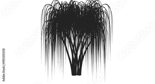 Silhouette of a tree with long hanging branches against a white background symbolizing nature and simplicity