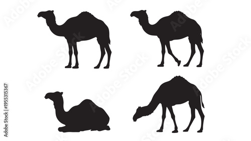 Camels black silhouette set with four different poses including standing and sitting in isolated white background for design elements