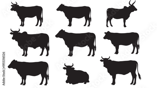 Cows set with different postures and horn shapes in black silhouette on white background for diverse agricultural applications.