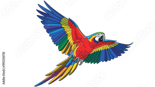Colorful Macaw Parrot Flying.