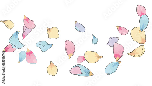 Colorful Petals Falling Down.