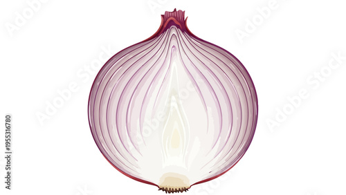 Cut Onion Half Isolated.