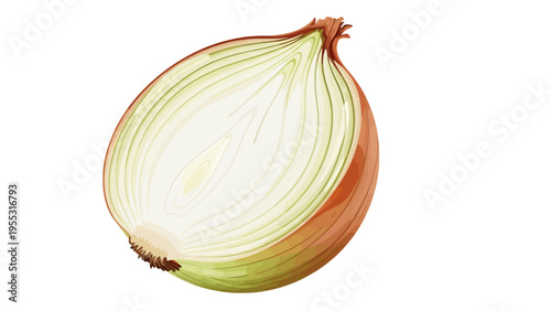 Cut Onion Isolated White.
