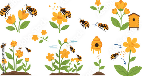 Bee pollination process with flowers and beehive honey production lifecycle cartoon set nature ecology insect vector illustration collection