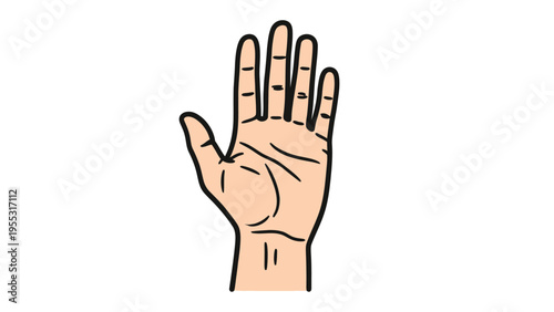 Hand with Open Palm.