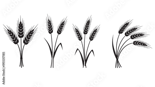 Wheat stalks black silhouette icons featuring different arrangements and densities, perfect for harvest themes.