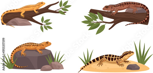 Desert lizard reptiles resting on rocks branches and sand with gecko characters in natural habitat vector illustration set