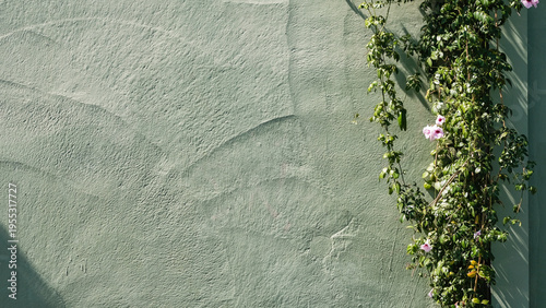 Schilderij op canvas A textured pale green wall with climbing vine and delicate pink flowers on right