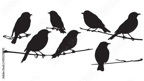 Birds silhouette collection perched on branches in a stylized graphic design against a clean white background.