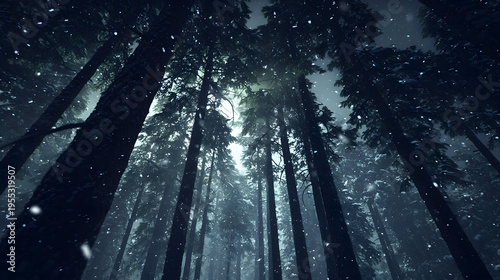 forest with snow dusted black trees, dim twilight sky, cinematic composition