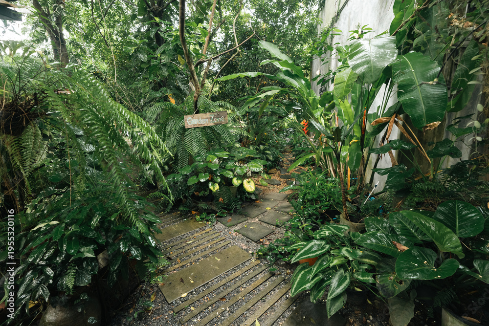 Fototapeta premium Tropical garden lush foliage green plant stone pathway jungle outdoor nature leaf rain wet surface Tropical garden with lush foliage surrounding stone pathway jungle setting, outdoor nature scene