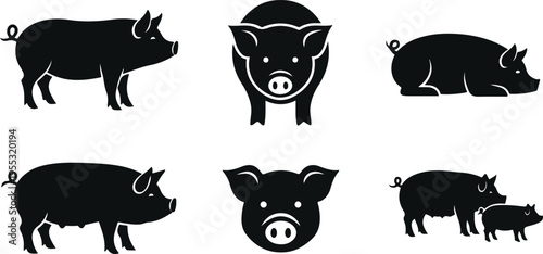 oak leaf with acorns on white background