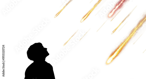 Silhouette of a person looking up at vibrant streaks of light falling from the sky in a stunning display