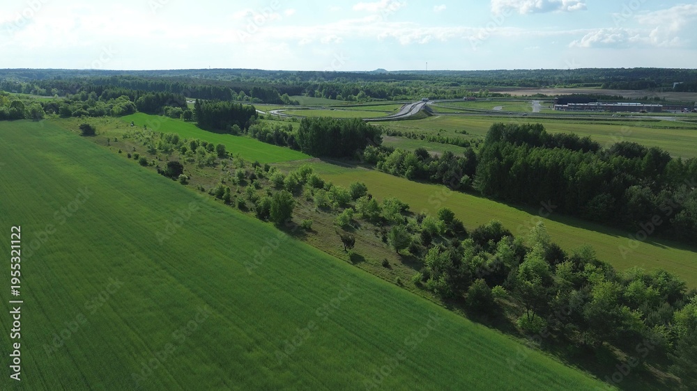 Obraz premium Sustainable green zone with planted conifers