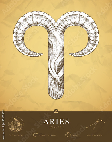 Modern magic witchcraft card with astrology Aries zodiac sign characteristic. Hand drawing art product. Vector illustration