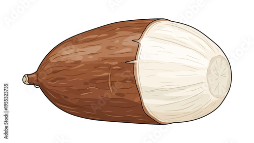 Cut Open Brown Coconut.