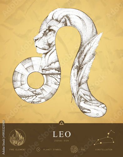 Modern magic witchcraft card with astrology Leo zodiac sign characteristic. Hand drawing art product. Vector illustration