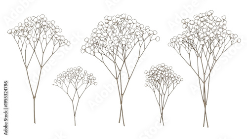 Illustration of five plants with flowers and branches on white background